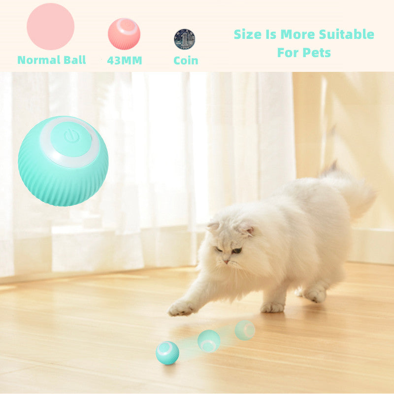 Smart Cat Ball Toys - ringfitboutique.myshopify.com