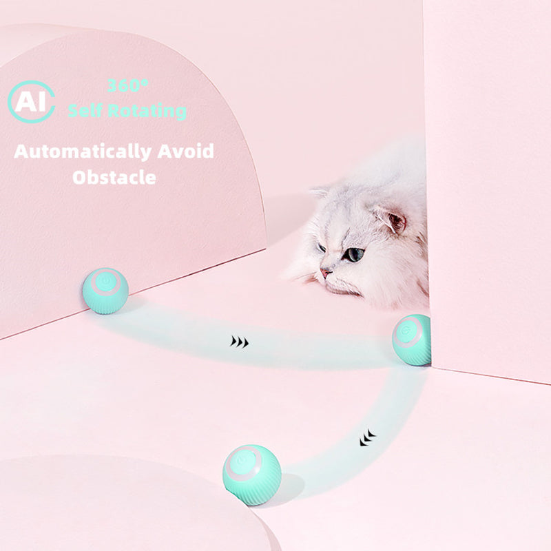 Smart Cat Ball Toys - ringfitboutique.myshopify.com